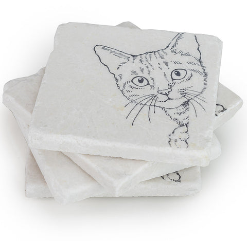 Cat on Marble