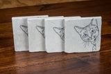 Cat on Marble