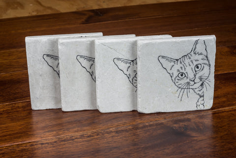 Cat on Marble