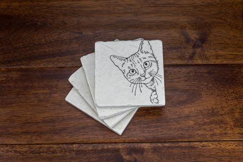 Cat on Marble